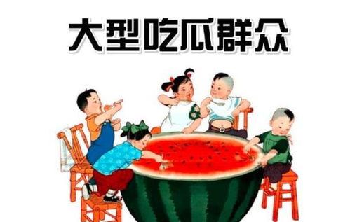 砖家与吃瓜群众,深度解析社会热点现象