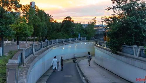 动物园网红隧道图片,动物与游客的欢乐互动瞬间