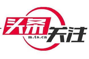 竹溪高山新闻头条,探寻绿色生态发展新篇章