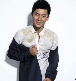 李晨是几线明星