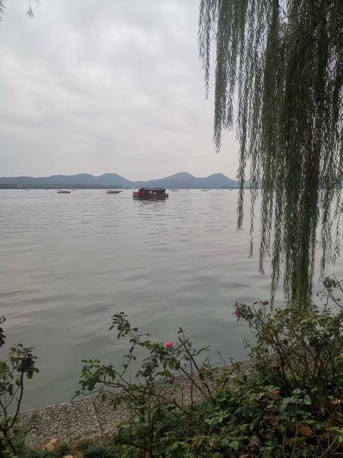 今日头条视频西湖美景,一湖碧波映映繁华，古韵今风共赏春色”