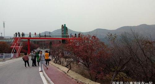 陕西榆次网红公路在哪里