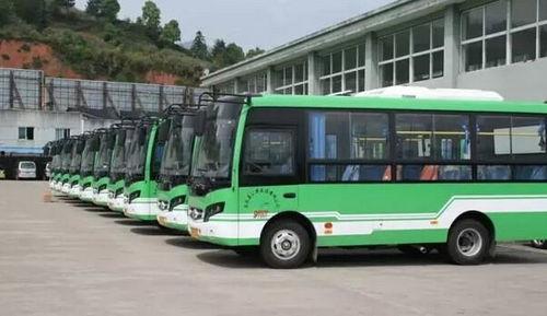 今日头条丽水公交线路,带你轻松畅游山水之城