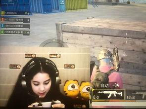 明星真人吃鸡,精彩瞬间大揭秘！