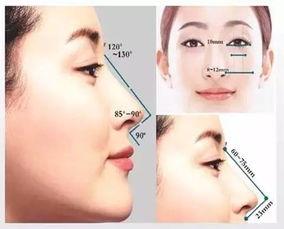 明星鼻,探寻美丽鼻子的秘密