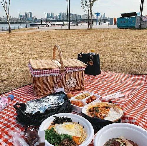 网红野餐水果摊