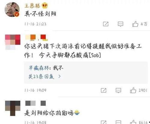 网红评论格式图片,揭秘网红评论背后的秘密！