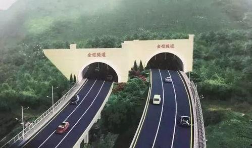 网红金恺,网红界的璀璨明星，揭秘他的爆红之路