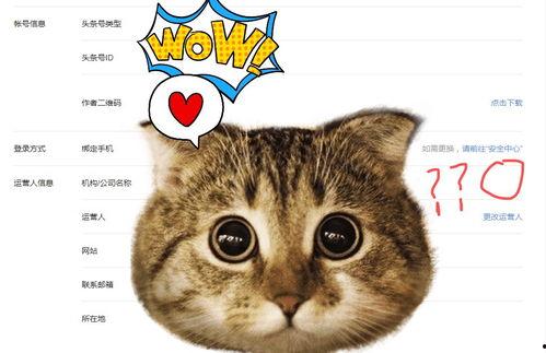 头条号为什么可以改名,揭秘平台赋予用户个性化表达的新机遇