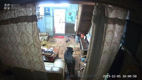 普宁最新爆料新闻,揭秘神秘事件背后的真相