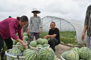 西昌有哪些吃瓜地方