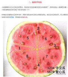 吃籽瓜方法,尽享夏日清凉滋味