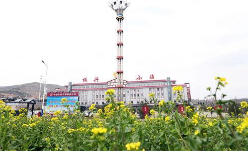 东营三道河新闻头条,突发事故引发关注，紧急救援行动展开