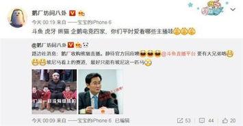 熊猫和猪的爆料视频播放